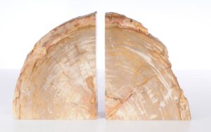 Sujetalibros madera petrificada 53372
