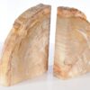 Sujetalibros madera petrificada 53372