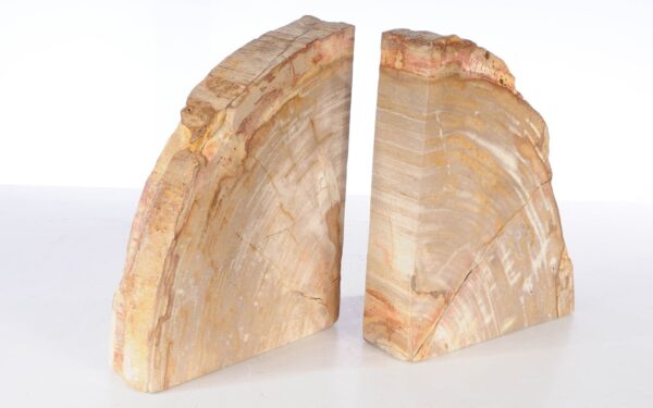 Sujetalibros madera petrificada 53372