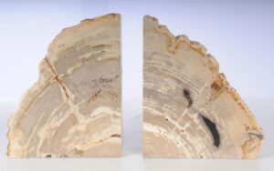 Sujetalibros madera petrificada 53378