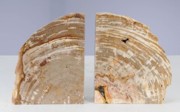 Sujetalibros madera petrificada 53383