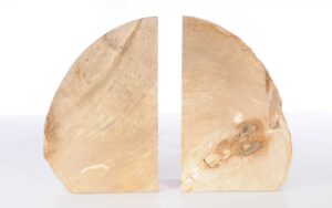 Sujetalibros madera petrificada 53384