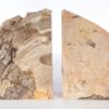Sujetalibros madera petrificada 53385