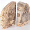 Sujetalibros madera petrificada 53385