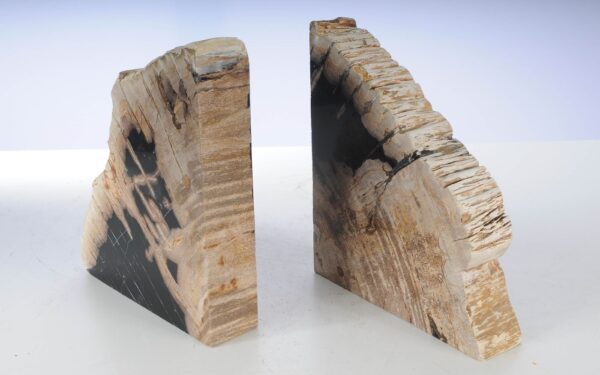 Sujetalibros madera petrificada 53480