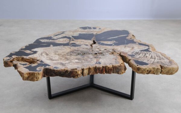 Table basse bois pétrifié 56277