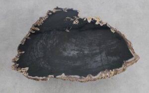 Table basse bois pétrifié 56278