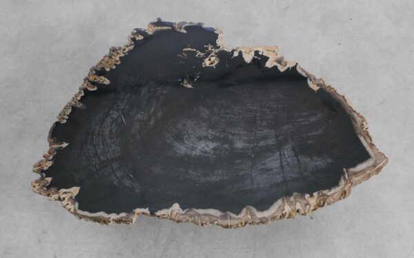 Table basse bois pétrifié 56278