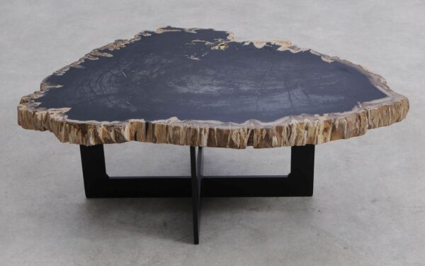 Table basse bois pétrifié 56278