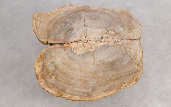 Table basse bois pétrifié 56279