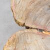 Table basse bois pétrifié 56279