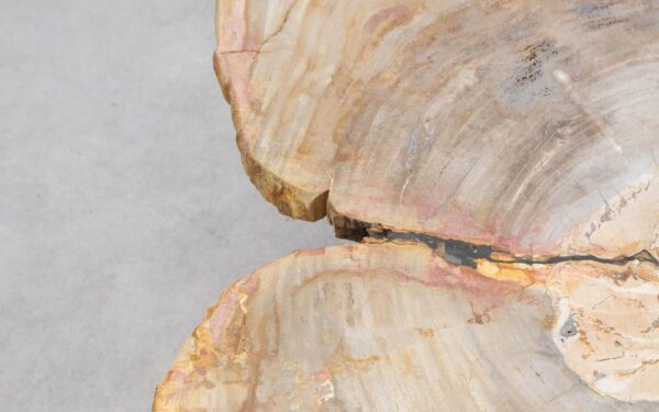 Table basse bois pétrifié 56279