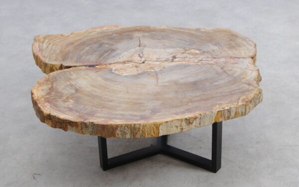 Table basse bois pétrifié 56279