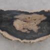 Table basse bois pétrifié 56282
