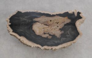 Table basse bois pétrifié 56282