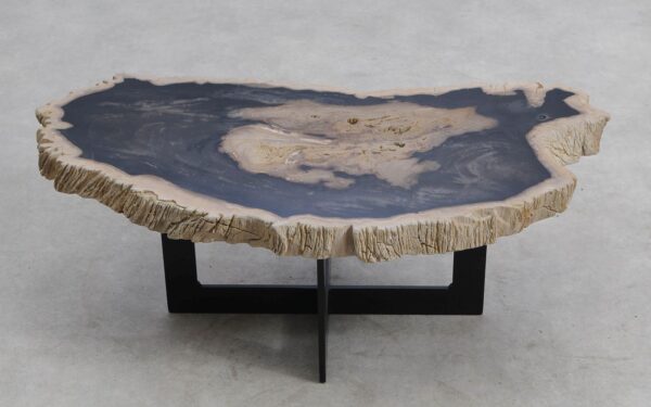 Table basse bois pétrifié 56282