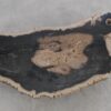 Table basse bois pétrifié 56285