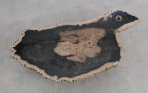 Table basse bois pétrifié 56285