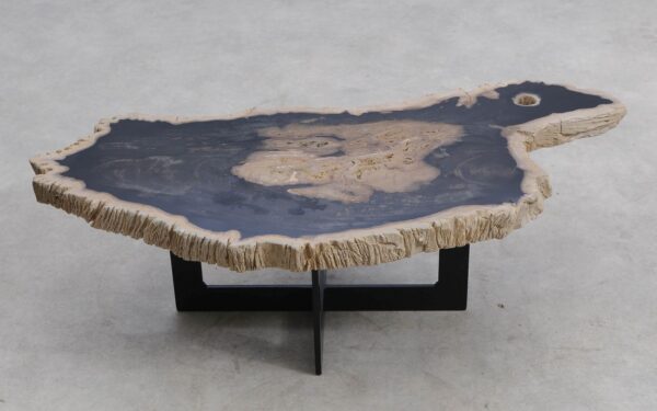 Table basse bois pétrifié 56285