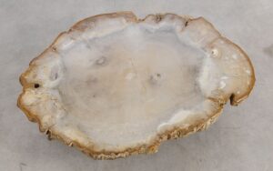 Table basse bois pétrifié 57218