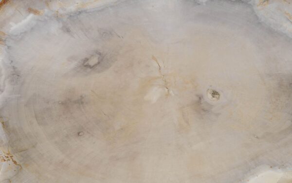 Table basse bois pétrifié 57218