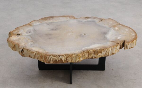 Table basse bois pétrifié 57218