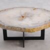 Table basse bois pétrifié 57219