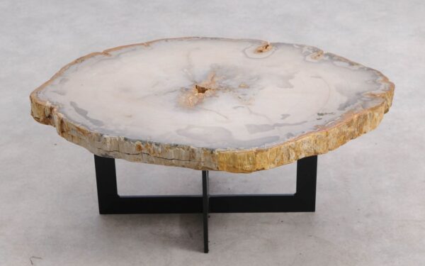 Table basse bois pétrifié 57219
