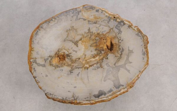 Table basse bois pétrifié 57232