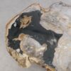 Table basse bois pétrifié 57236