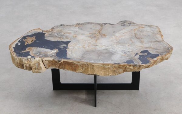 Table basse bois pétrifié 57236