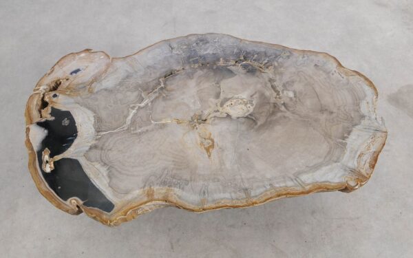 Table basse bois pétrifié 57239