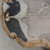 Table basse bois pétrifié 57239