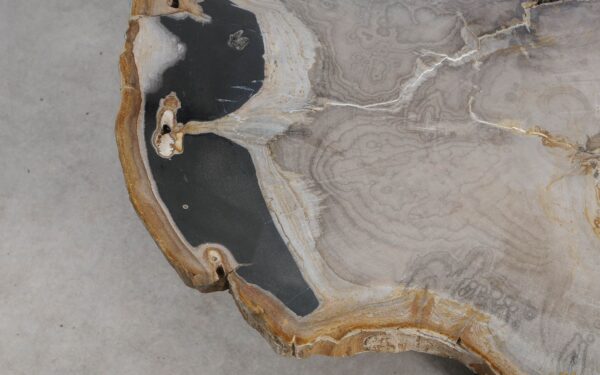 Table basse bois pétrifié 57239