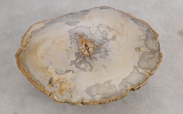 Table basse bois pétrifié 57244