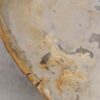 Table basse bois pétrifié 57244