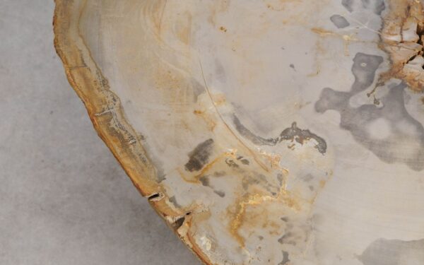 Table basse bois pétrifié 57244