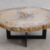Table basse bois pétrifié 57244