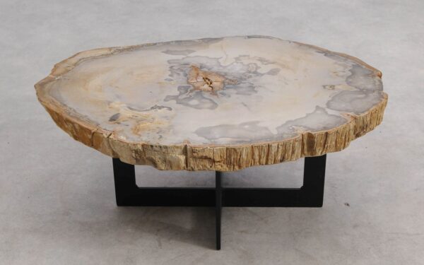 Table basse bois pétrifié 57244