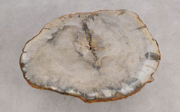 Table basse bois pétrifié 57249