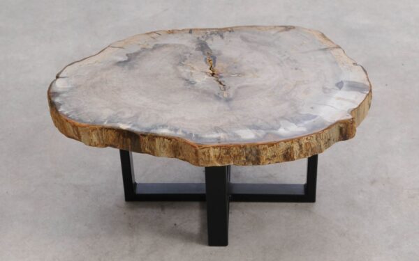 Table basse bois pétrifié 57249