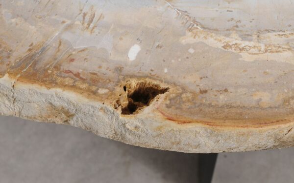 Table basse bois pétrifié 57255