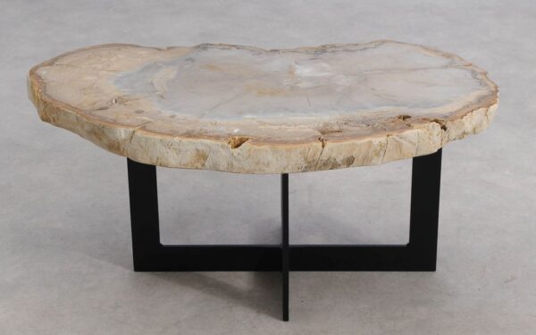 Table basse bois pétrifié 57255