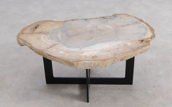 Table basse bois pétrifié 57256