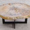 Table basse bois pétrifié 57263
