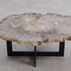 Table basse bois pétrifié 57267