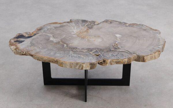 Table basse bois pétrifié 57267