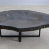 Table basse bois pétrifié 57280a
