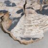 Table basse bois pétrifié 58255