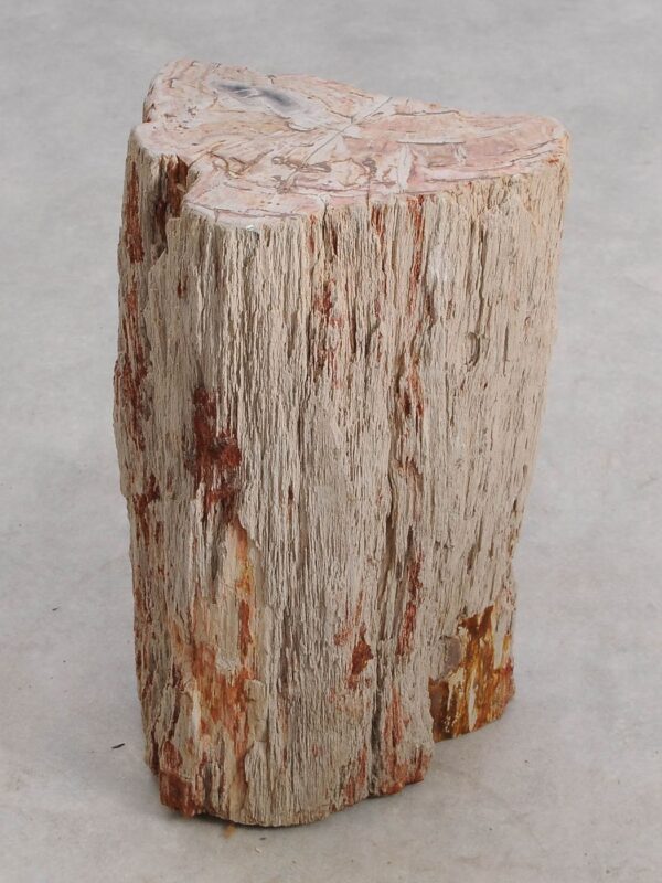 Table d'appoint bois pétrifié 55000